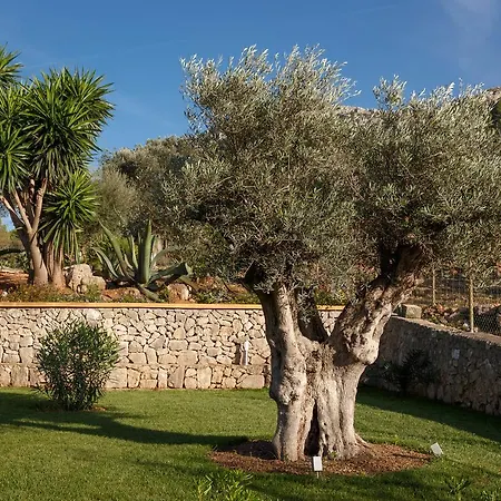 Farm stay Agroturismo S'arbocar