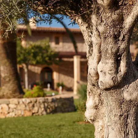 Agroturismo S'arbocar Sant Llorenc Des Cardassar