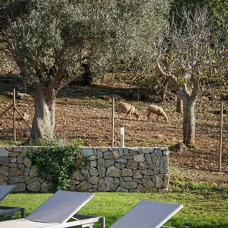 Agroturismo S'arbocar Farm stay