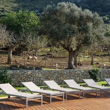 Farm stay Agroturismo S'arbocar *
