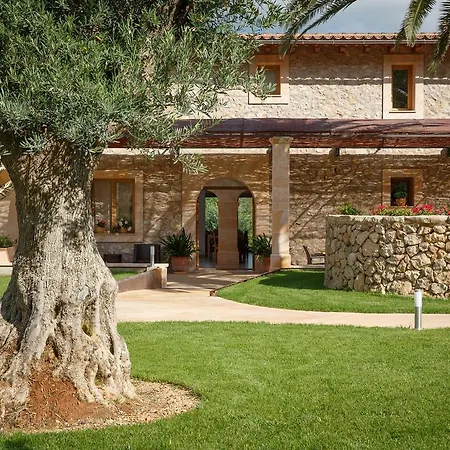 Farm stay Agroturismo S'arbocar